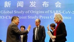 世衛調查組成員：若再訪中國有助於新冠溯源研究