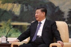 FILE - Chinese President Xi Jinping speaks at the Great Hall of the People in Beijing, Jan. 28, 2020.