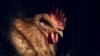 Some veterinarians didn't know they had bird flu, study suggests