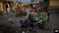 Pokiston poytaxti Islomobodda afg'on qochqinlari. 10-fevral 2015-yil