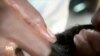 Cet homme coiffe fièrement les femmes au Mozambique