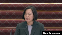 2020年3月19日台灣總統蔡英文在台北總統府針對新冠病毒疫情發表講話。（台灣總統府視頻截圖）