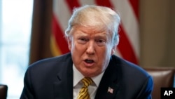 El presidente Donald Trump ha amenazado a México hasta con el cierre de la frontera, como parte de su intento por parar la emigración irregular, un tema clave desde su campaña electoral en 2016.