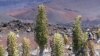 Berwisata ke Taman Nasional Vulkano dan Taman Nasional Haleakala di Hawaii