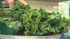 美提倡健康饮食 减少肥胖人口