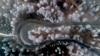 16x9 Image