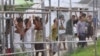 Last Remaining Group of Refugees at Australian-Run Pacific Camp Refuse to Leave