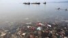 Plastik Ditemukan Dalam Perut Hewan di Palung Laut Terdalam 