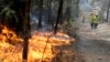 Australia Belum Berhasil Atasi Kebakaran Hutan