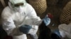 A Balinese government official injects a chicken to cull it as a precautionary measure to prevent the spread of bird flu, at a market in Denpasar, Bali, Indonesia, April 26, 2012. 