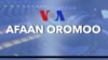 Qophii Addaa Kan Labsii Yeroo Hatattamaa Laalchisuudhan Qophaahee