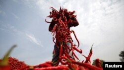 FILE - A man spreads red chilli peppers for drying at a farm in India, Feb. 5, 2018. Over the last five years, more than 100 farmers in the region of Kajiado County in Kenya have begun growing chili.