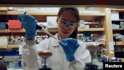 Seorang peneliti bekerja di laboratorium di Duke-NUS Medical School, yang sedang mengembangkan cara untuk melacak perubahan genetik yang mempercepat pengujian vaksin terhadap virus corona di Singapura 23 Maret 2020. (Foto: Reuters)