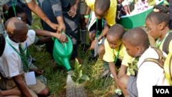 Les enfants apprennent à planter des arbres à la fin de la Conférence internationale sur le changement climatique des enfants, Kampala, Ouganda, 12 juillet 2014. (VOA/Hilary Heuler)