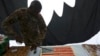 A U.S. soldier cuts into a cake during Fourth of July celebrations at the Bagram airbase, north of Kabul, Afghanistan, July 4, 2013.