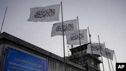 Arhiva - Talibanske zastave na aerodromu u Kabulu, Avganistan, 9. septembra 2021. 