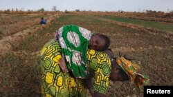 En Afrique, les femmes jouent un rôle primordial dans la production agricole