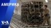 «Америка» – 4 марта 2025 