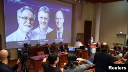 Thomas Perlmann, Secretary-General of the Nobel Committee, presents the Nobel laureates, William G. Kaelin Jr, Sir Peter J. Ratcliffe and Gregg L. Semenza, of this year's Nobel Prize in Medicine during a news conference in Stockholm, Sweden, October…