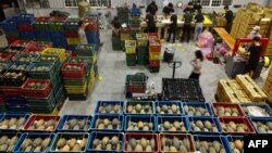 资料照：台湾屏东的工人正在一个货仓里整理装箱凤梨。（2021年3月16日）