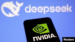 英伟达和Deepseek的标识