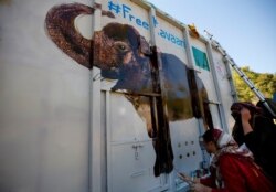 FILE - Volunteers paint an image of Kaavan on a crate to transport him to Cambodia, at the Maragzar Zoo in Islamabad, Pakistan, Nov. 27, 2020.