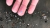 New Zealand Scientists Investigate Microplastics' Impact on Climate Change 