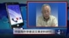 中国海外学者谈文革史料研究