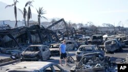 Чоловік на згарищі у місті Лагайна, Гаваї. Фото AP