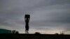 Insurance Vital, But No Magic Bullet to Fight Drought in Africa