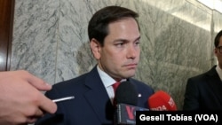 El senador republicano por Florida Marco Rubio está presionando por un TPS para venezolanos que residen en EE.UU.