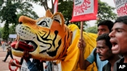 Bangladeshi protesters hold placards and a tiger effigy during a protest demanding the scrapping of the proposed Rampal power plant as they gather near the Shaheed Minar monument in Dhaka, Bangladesh, Saturday, Aug. 20, 2016.