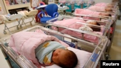 台灣台北一家婦產醫院的新生兒室。（2011年10月3日）