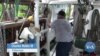 Louisianans Worry Another Katrina Would Doom Them