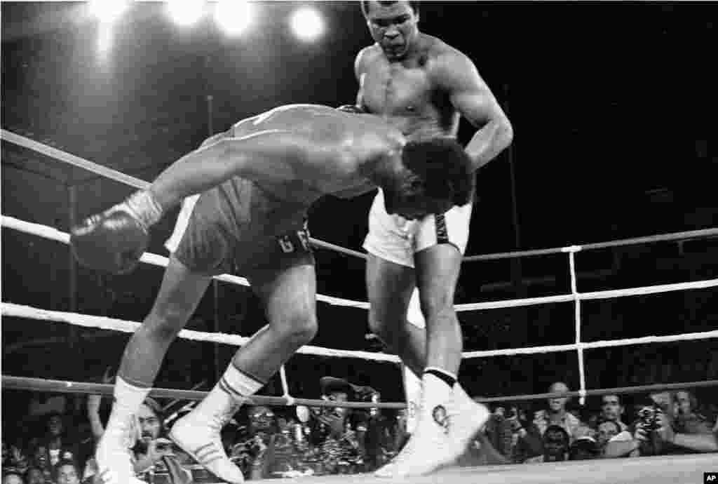 Muhammad Ali kuchli zarba ostida yerga qulayotgan raqibi Jorj Formanni kuzatmoqda, 30-oktabr, 1974-yil.