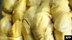 A closeup of an opened durian fruit is seen at a food stall in Medan, Indonesia. Known as the "king of fruits", durians are popular across Southeast Asia. (AFP)