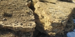 یک ترک بزرگ کوهستانی در محدوده آب اسک در جاده هراز