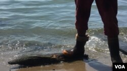 Según el sindicato de pescadores del municipio, los trabajadores han sufrido 147 robos entre enero y julio de este año.