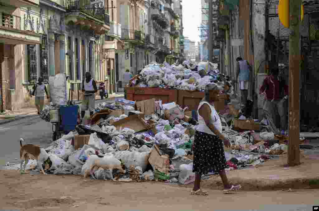 Garbage piles up on a corner in Havana, Cuba, Sept. 24, 2024.