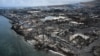 Hawaii Wildfires Kill at Least 55, Recovery to Take Years