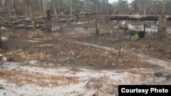 Chan Soveth, deputy chief of Adhoc’s program for land and natural resources, is being sued for “incitement,” following remarks made in local media that claim that people in rural areas, like Pursat, are threatened by powerful local officials and business interests. Photo courtesy of Adhoc.