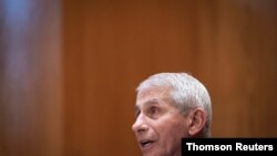 El doctor Anthony Fauci testifica ante el Congreso en una audiencia el 11 de mayo del 2021 