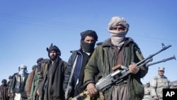 Former Taliban militants hold their weapons during a joining ceremony with the Afghan government in Herat, west of Kabul, January 30, 2012.