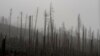 Tormenta causa estragos en Europa