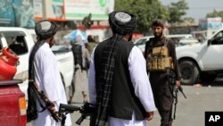 جنگجویان طالبان در فرودگاه بین المللی حامد کرزی پس از تصرف کابل، افغانستان - ۲۵ مرداد ۱۴۰۰