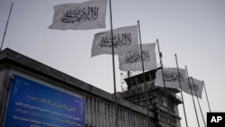 عکس: ارشیف