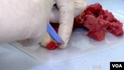 检测人员正在检验肉类产品