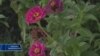 16x9 Image