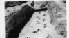 Famous Dinosaur Chase Reconstructed in 3-D 