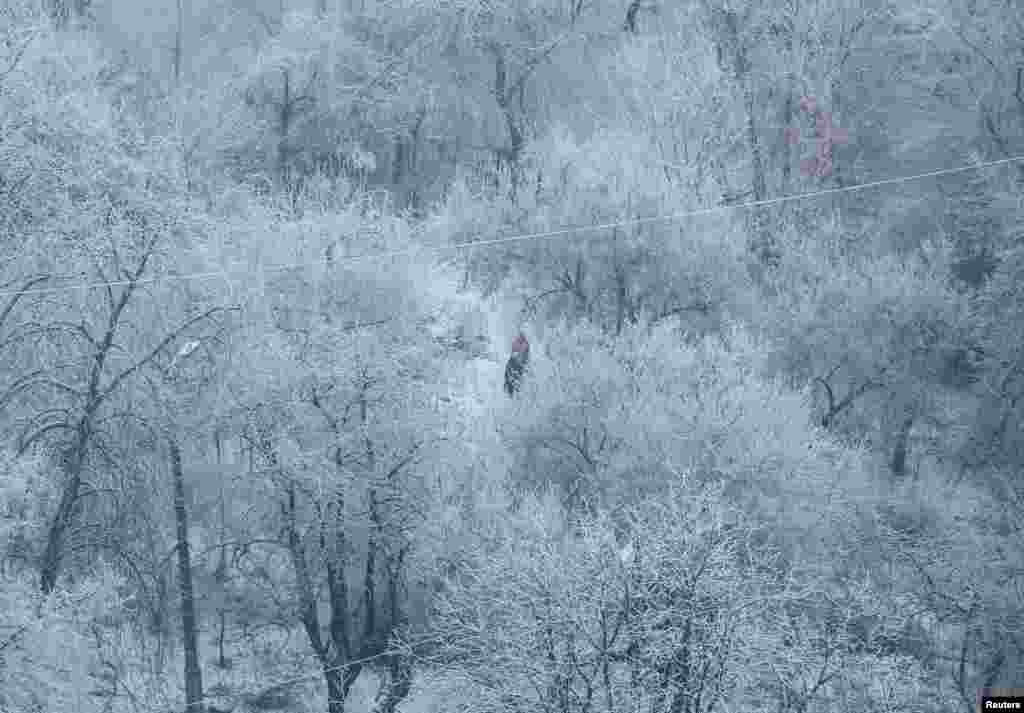 People walk amidst snow-covered trees on a frosty morning in Kyiv, amid Russia's attack on Ukraine.